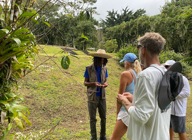 Excursion dans le nord de la Martinique avec guide