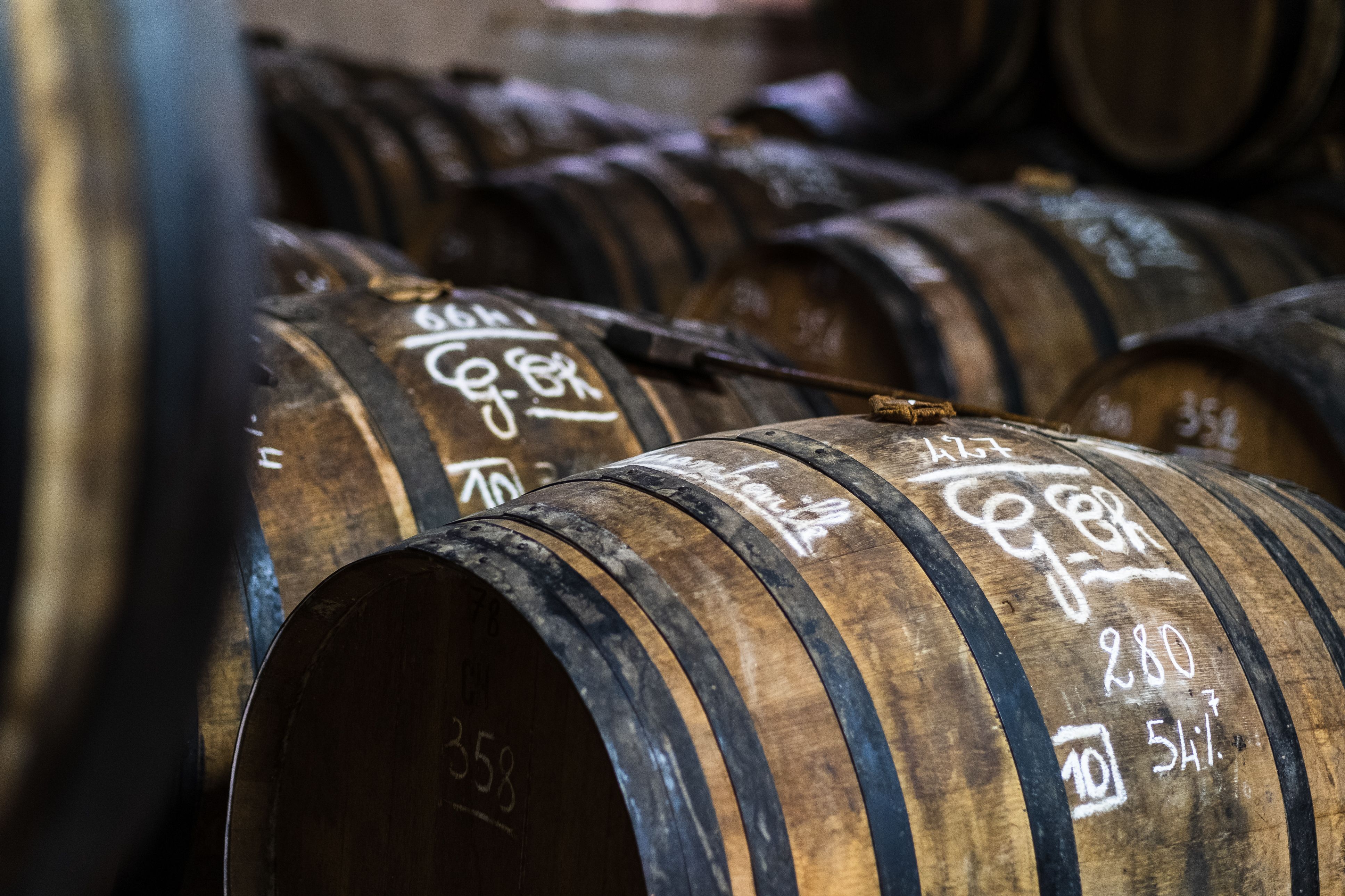 Rhum agricole et distillerie en Martinique
