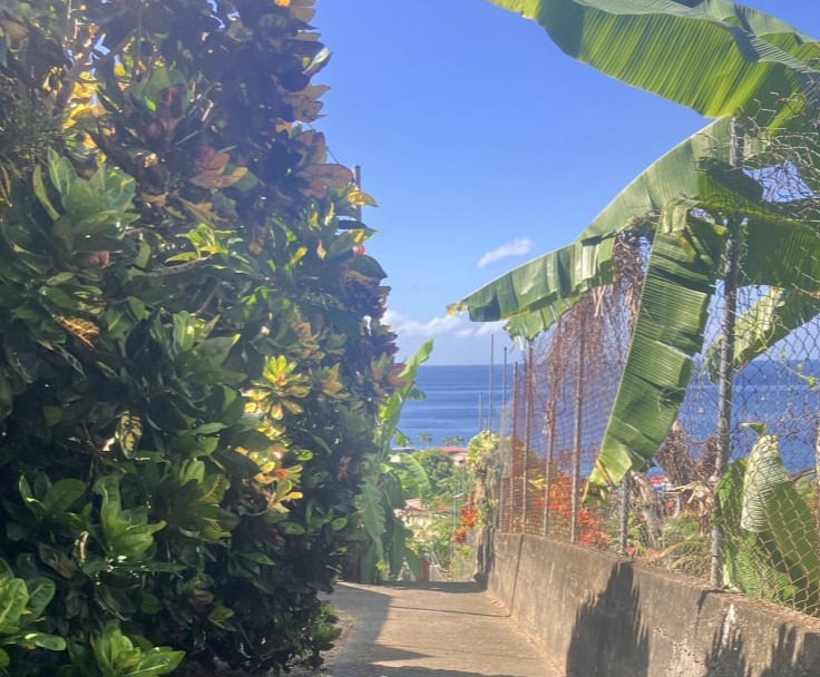 Visite guidée Saint-Pierre Martinique