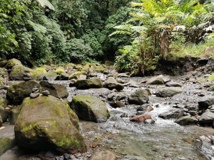 visite nord martinique gorges