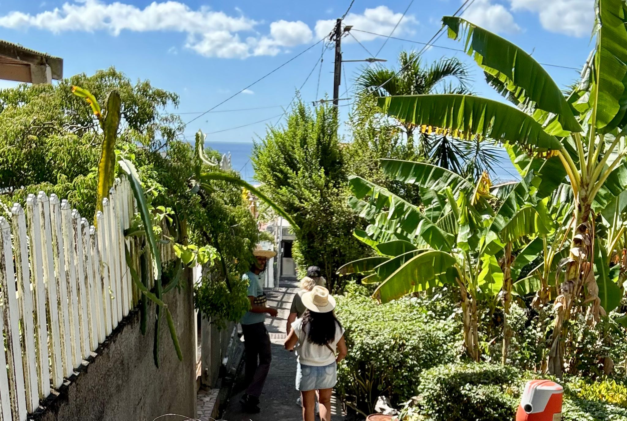 visite saint pierre martinique info pratique
